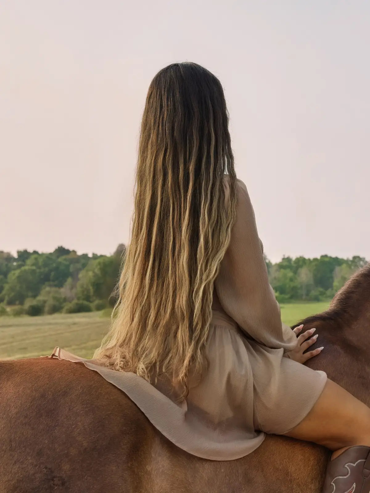 brown and blonde ombre wig