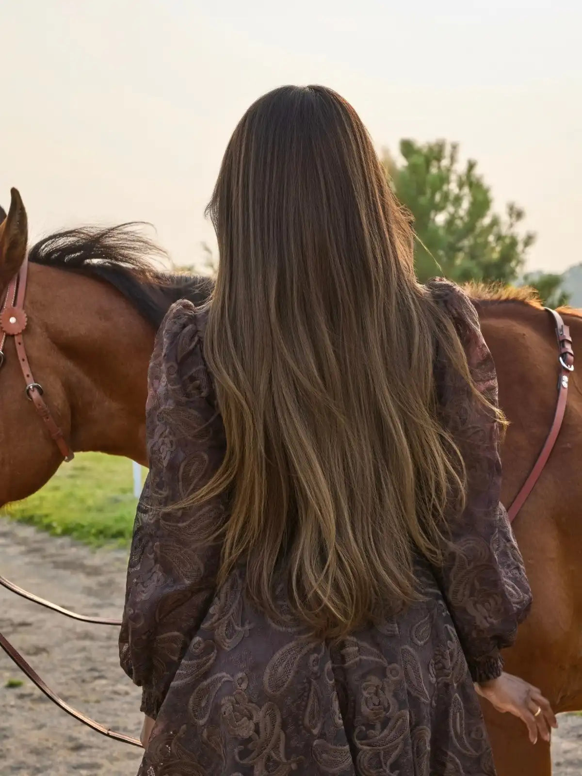 chestnut brown wig