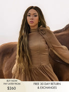 brown and blonde ombre wig
